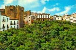 Caceres - Plaza Mayor - El impresionante arbolado
